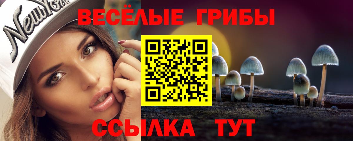 Рассказово  Галлюциногенные грибы Psilocybine cubensis  Вход с VPN 